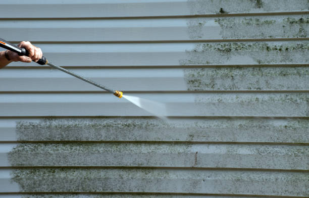 Best Roof Cleaning and Mildew Removal in Clayton, GA